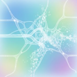 feb6fd64 31c2 48d8 821a d8124a3a1d1d feb6fd64 31c2 48d8 821a d8124a3a1d1d